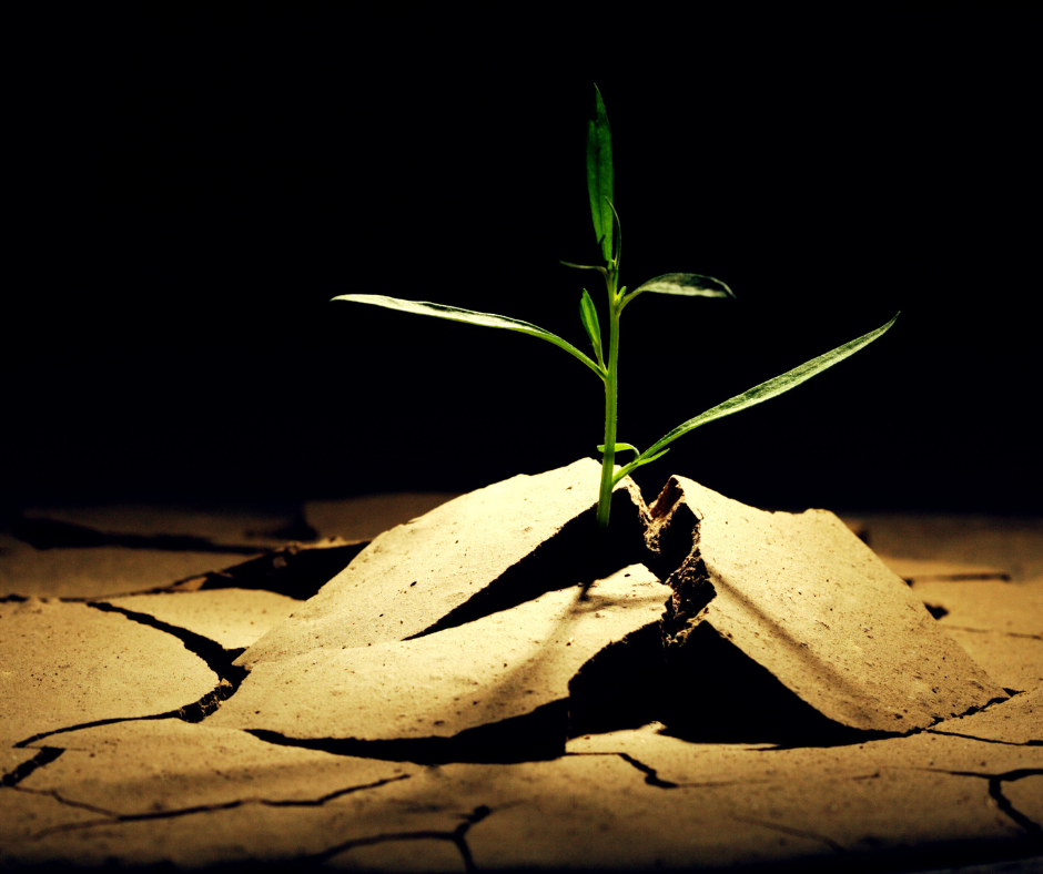 Christian faith blogs on spirituality