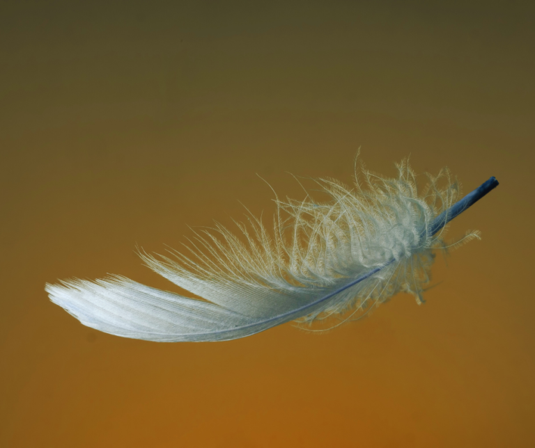 feather